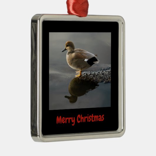 Gadwell Duck Merry kerstomhulde Ornament (Rechts)