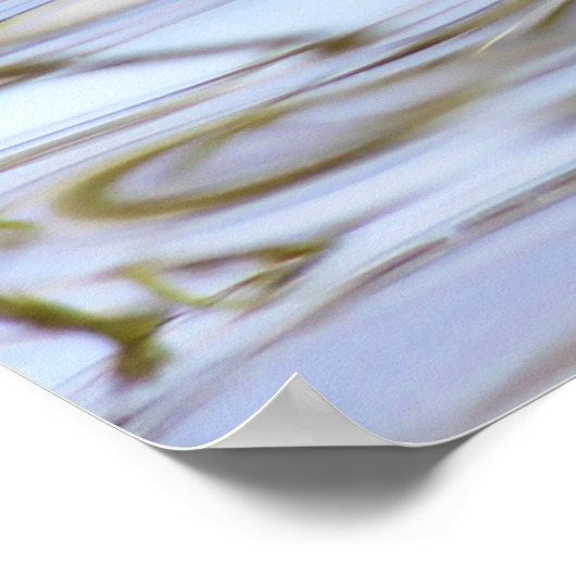 Gadwell Duck Poster (Hoek)