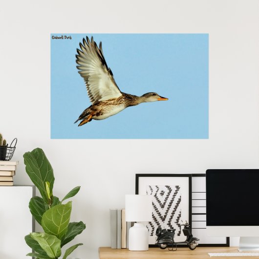 Gadwell Duck Poster (Thuiskantoor)