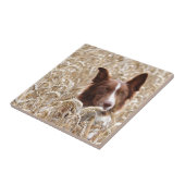 Gael Tegeltje (Zijkant)