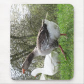 Gäense auf einer Wiese Muismat (Voorkant)