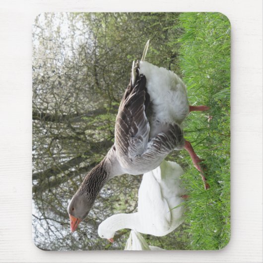 Gäense auf einer Wiese Muismat (Voorkant)