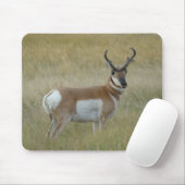 Gaffelbok Antelope Grote Bok Muismat (Met muis)