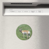 Gaffelbok Antilope Magneet (Insitu (Vaatwasser))