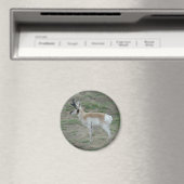 Gaffelbok Antilope Magneet (Insitu (Vaatwasser))