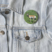 Gaffelbok Antilope Ronde Button 5,7 Cm (In situ)