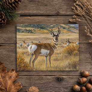 Gaffelbok-antilope-wildlevenatuur Zuid-Dakota Briefkaart