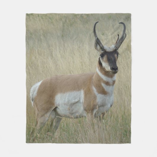Gaffelbok Grote Bok Fleece Deken (Voorkant)
