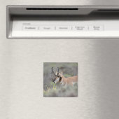 Gaffelbok hert | Grand Tetons Magneet (Insitu (Vaatwasser))