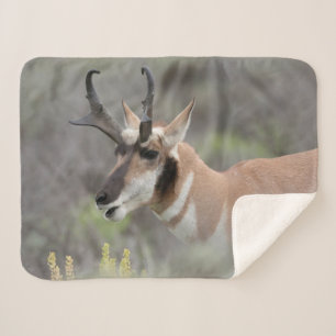 Gaffelbok hert   Grand Tetons Sherpa Deken
