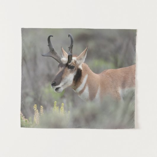 Gaffelbok hert | Grand Tetons Wandkleed (Voorkant (horizontaal))