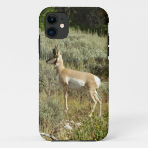 Gaffelbok in Grand Teton National Park Case-Mate iPhone Case