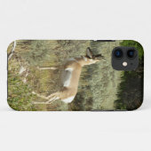 Gaffelbok in Grand Teton National Park Case-Mate iPhone Case (Achterkant (horizontaal))