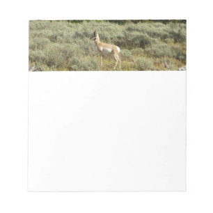 Gaffelbok in Grand Teton National Park Notitieblok