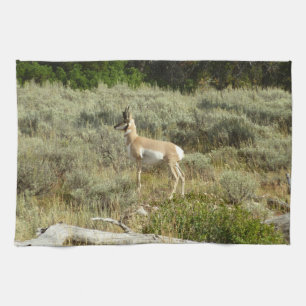 Gaffelbok in Grand Teton National Park Theedoek