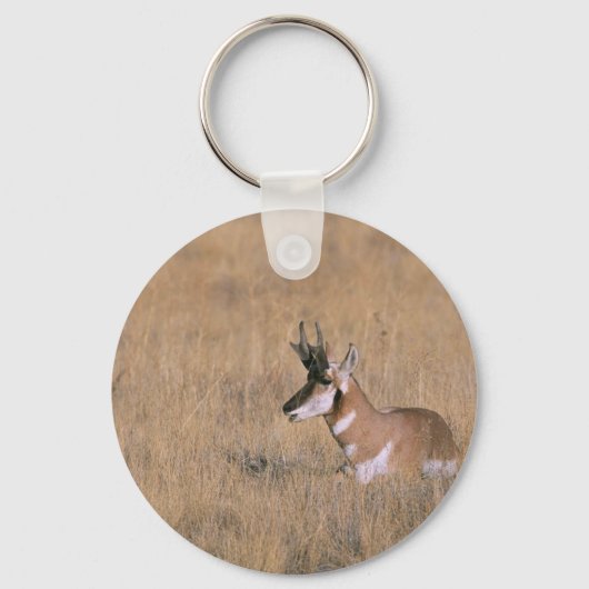 Gaffelbok Sleutelhanger (Voorkant)