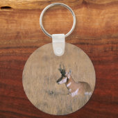 Gaffelbok Sleutelhanger (Voorkant)