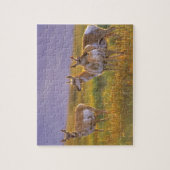 Gaffelbokantilopen in Montana Legpuzzel (Verticaal)