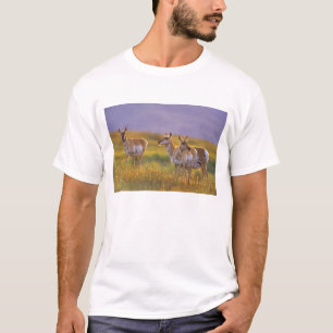 Gaffelbokantilopen in Montana T-shirt