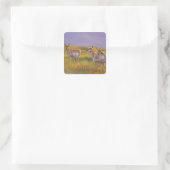 Gaffelbokantilopen in Montana Vierkante Sticker (Tas)