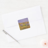 Gaffelbokantilopen in Montana Vierkante Sticker (Envelop)