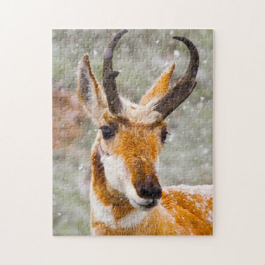 Gaffelhoorn herten Wyoming. Legpuzzel (Verticaal)