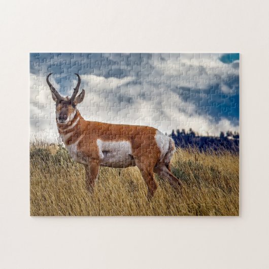 Gaffelhoorn herten Wyoming. Legpuzzel (Horizontaal)