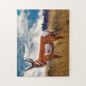 Gaffelhoorn herten Wyoming. Legpuzzel (Verticaal)