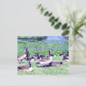 Gaggle of Geese Briefkaart (Staand voorkant)