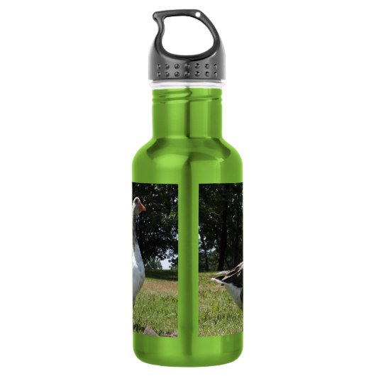 Gaggle van gedomesticeerde ganzen waterfles  (Achterkant)