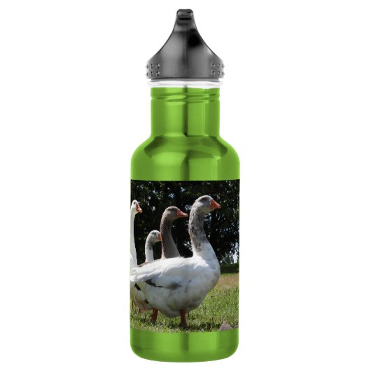 Gaggle van gedomesticeerde ganzen waterfles  (Rechts)