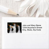 Gagle of White Ducks Retouradres Etiket (Insitu)