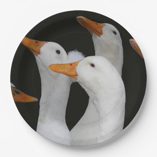 Gagle van Witte Eenden Papieren Bordje (Voorkant)