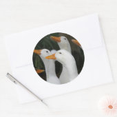 Gagle van Witte Eenden Ronde Sticker (Envelop)