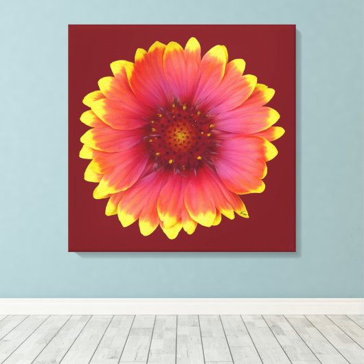 Gaillardia 1 canvas afdruk (Insitu (Houten vloer))