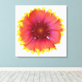 Gaillardia 1 canvas afdruk (Insitu (Houten vloer))