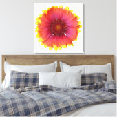 Gaillardia 1 canvas afdruk (Insitu (Slaapkamer))