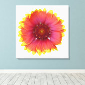 Gaillardia 1 canvas afdruk (Insitu (Houten vloer))