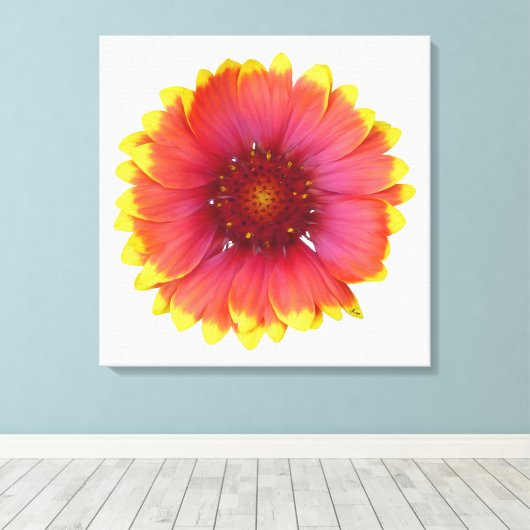 Gaillardia 1 canvas afdruk (Insitu (Houten vloer))
