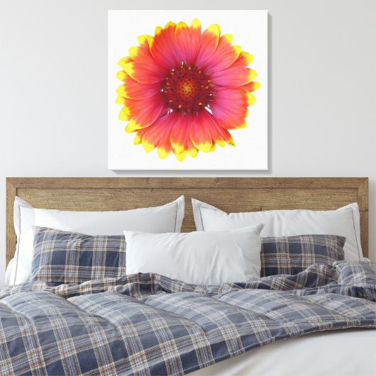 Gaillardia 1 canvas afdruk (Insitu (Slaapkamer))