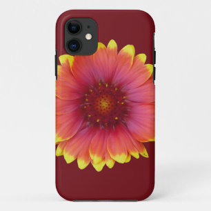 Gaillardia 1 Case-Mate iPhone case