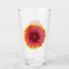 Gaillardia 1 glas