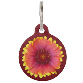 Gaillardia 1 huisdierpenning