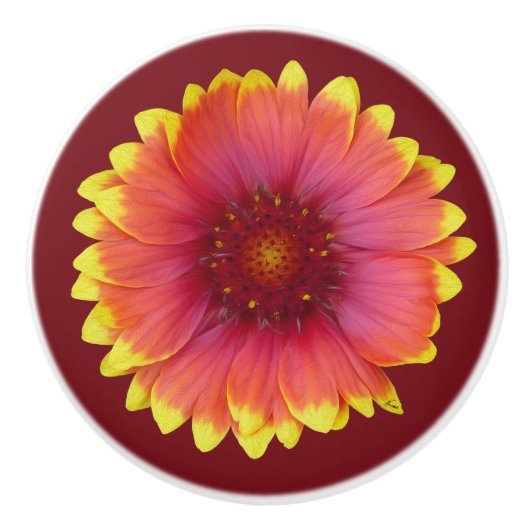 Gaillardia 1 keramische knop (Voorkant)