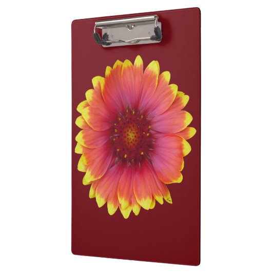 Gaillardia 1 klembord (Links)