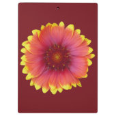 Gaillardia 1 klembord (Achterkant)