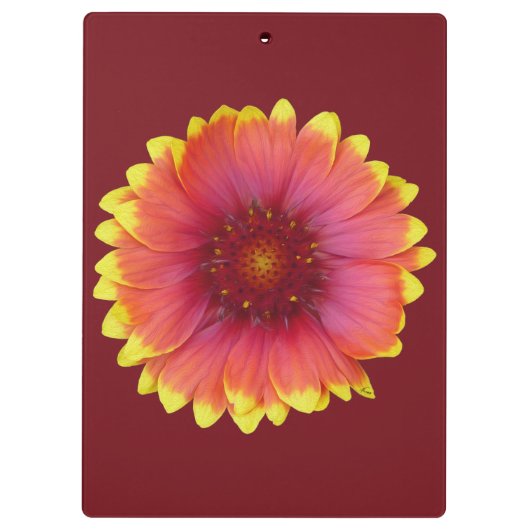 Gaillardia 1 klembord (Achterkant)