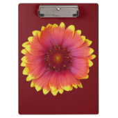 Gaillardia 1 klembord (Voorkant)