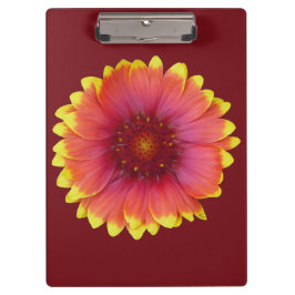 Gaillardia 1 klembord