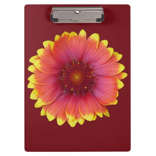 Gaillardia 1 klembord (Voorkant)